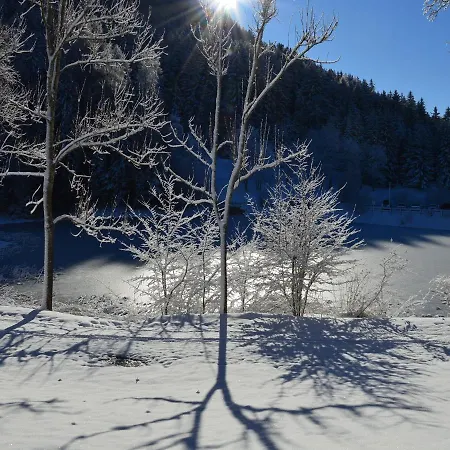 St Michael Alpin Retreat *